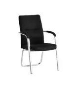 ვიზიტორის სავარძელი